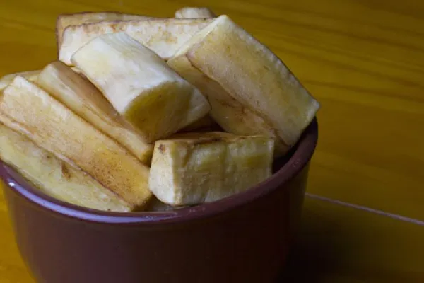 Ovnstegt yucca